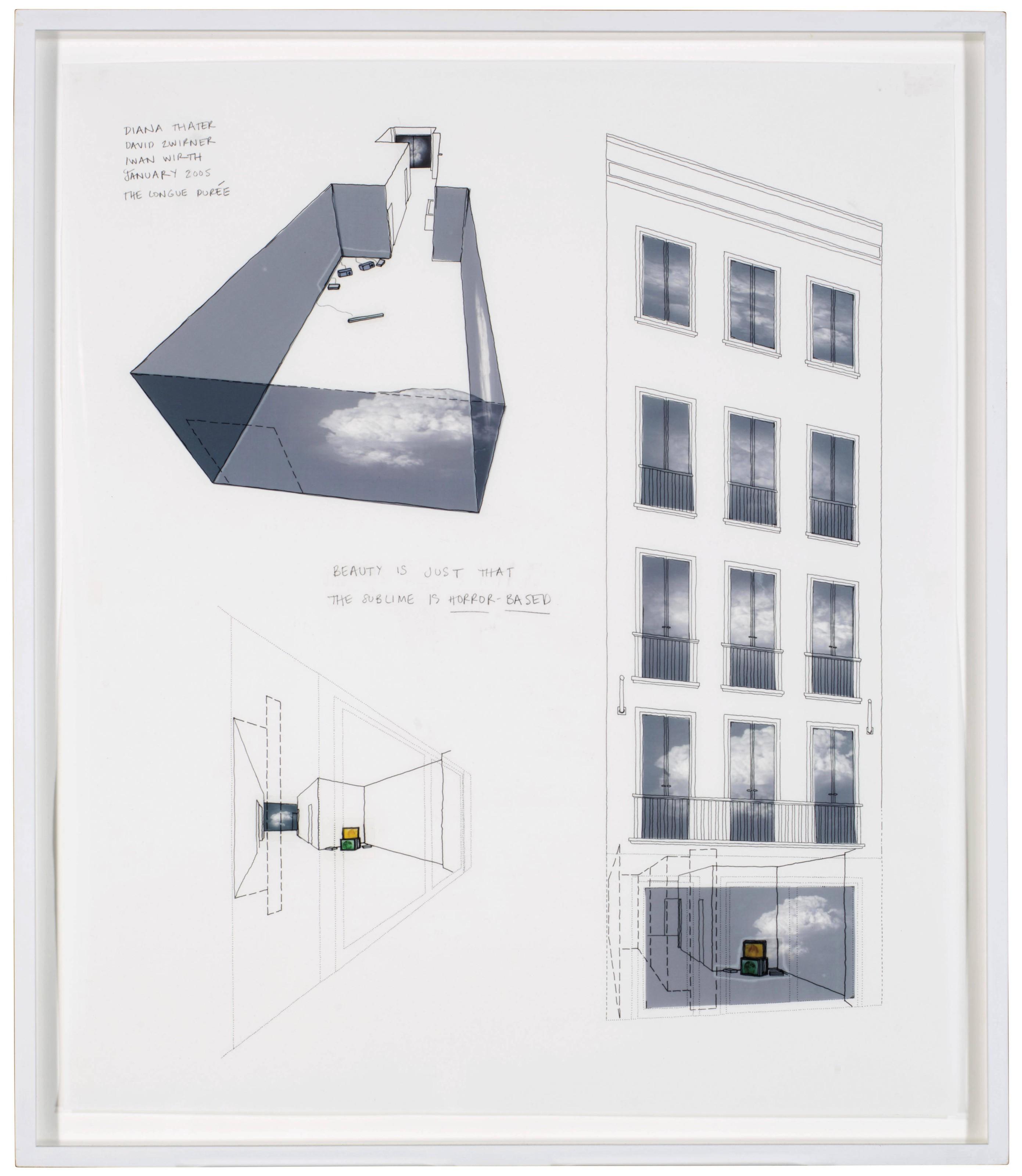 Diana Thater - Zwirner & Wirth Exhibition (January 7-February 5) #2