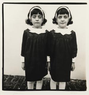 Diane Arbus - Identical Twins, Cathleen And Colleen, Roselle, New Jersey\'
