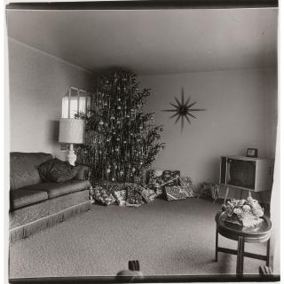 Diane Arbus - \'Xmas Tree In A Living Room In Levittown, L. I.\'