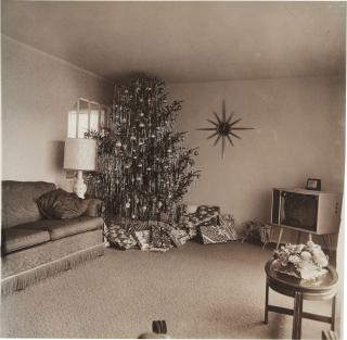 Diane Arbus - \'Xmas tree in a living room in Levittown, L. I.\'