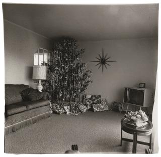 Diane Arbus - \'Xmas Tree In A Living Room In Levittown Li\'