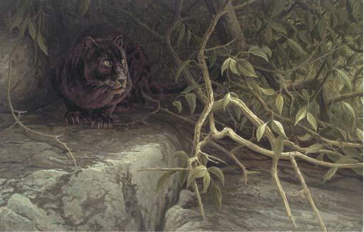 Dick van Heerde - Black Panther