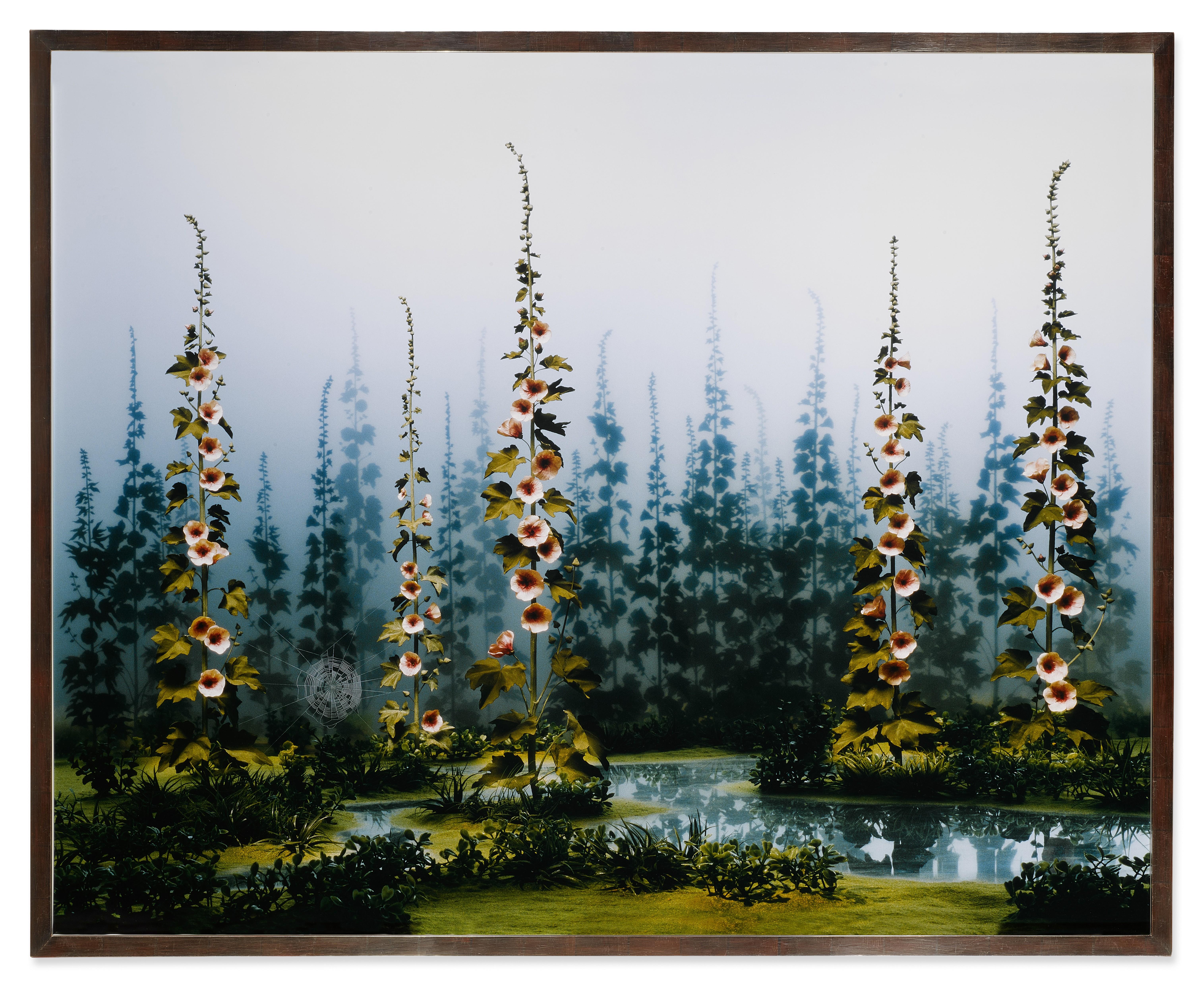 Didier Massard - April Garden