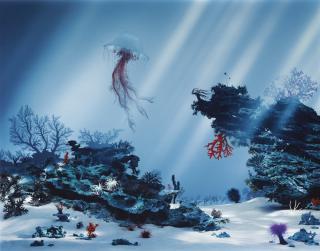 Didier Massard - The Corals