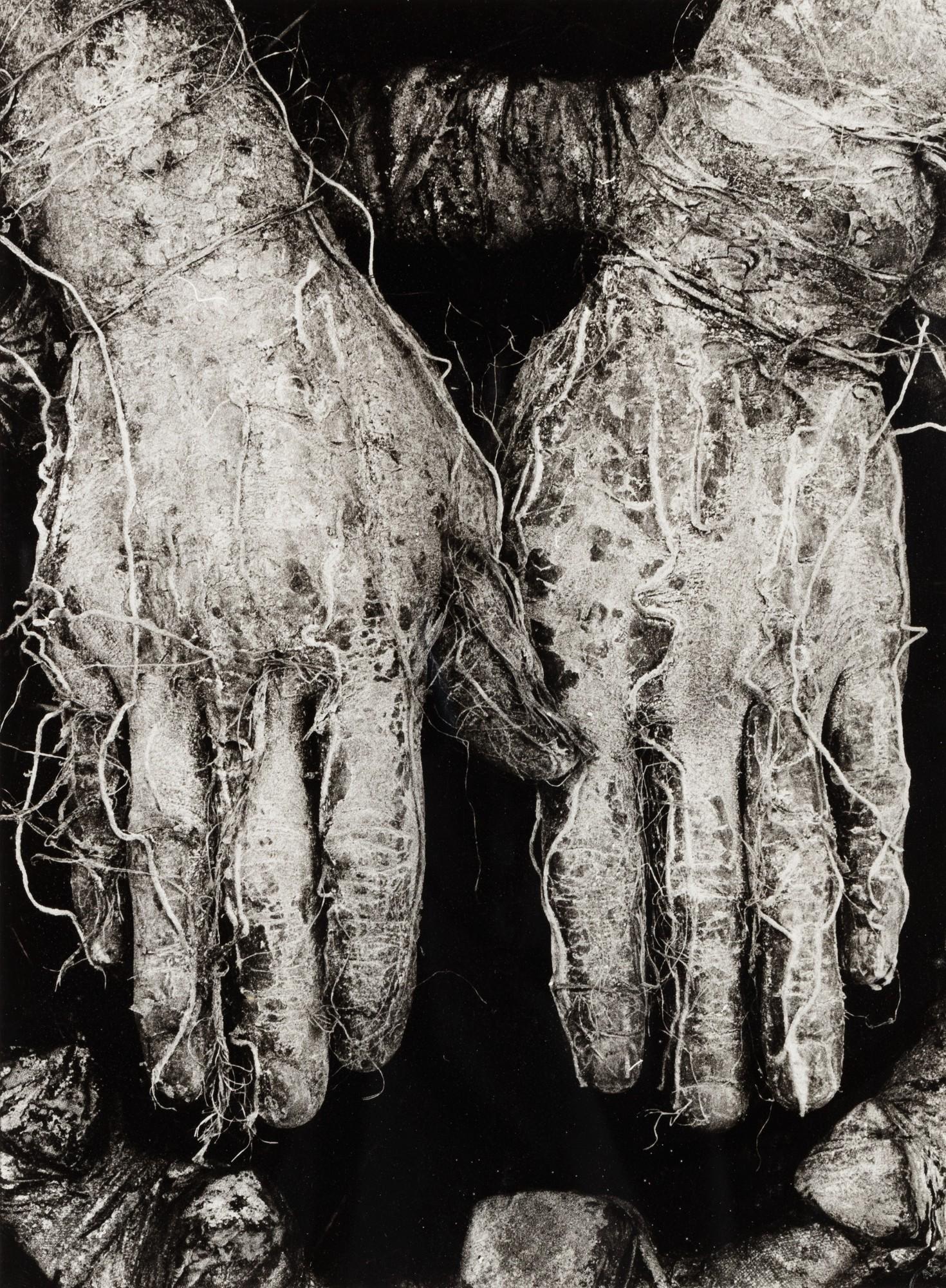 Dieter Appelt - Mains