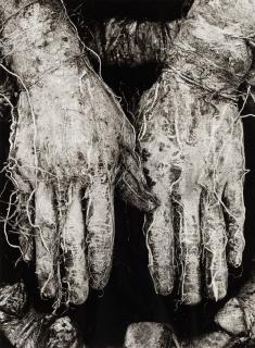 Dieter Appelt - Mains