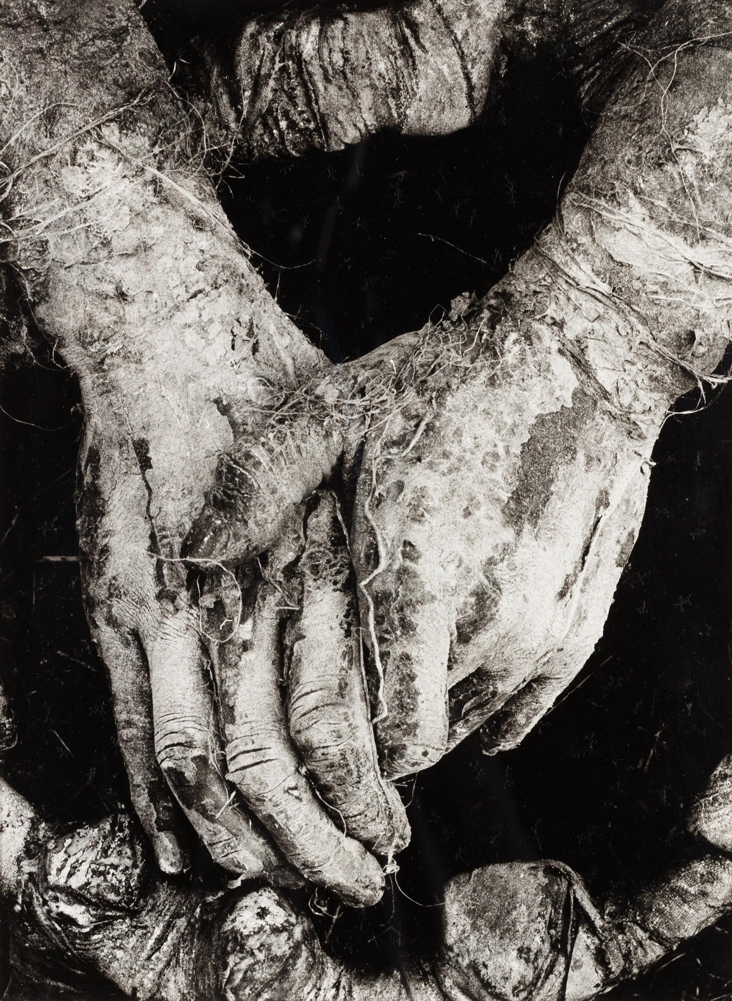 Dieter Appelt - Mains