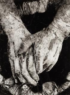 Dieter Appelt - Mains