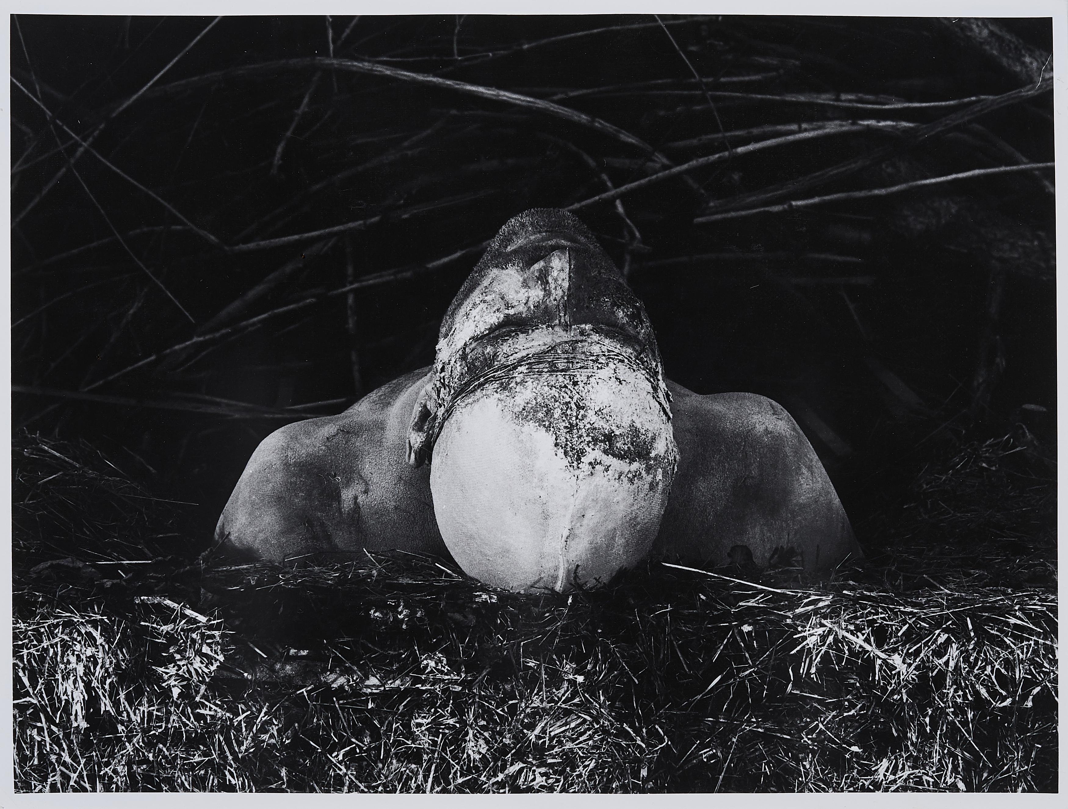 Dieter Appelt - Ohne Titel