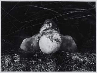 Dieter Appelt - Ohne Titel