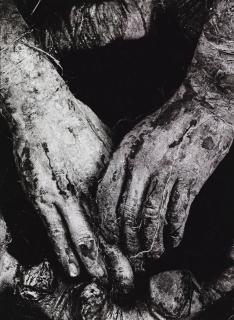 Dieter Appelt - Untitled (N°3 From The Series Erinnerungsspur), 1979