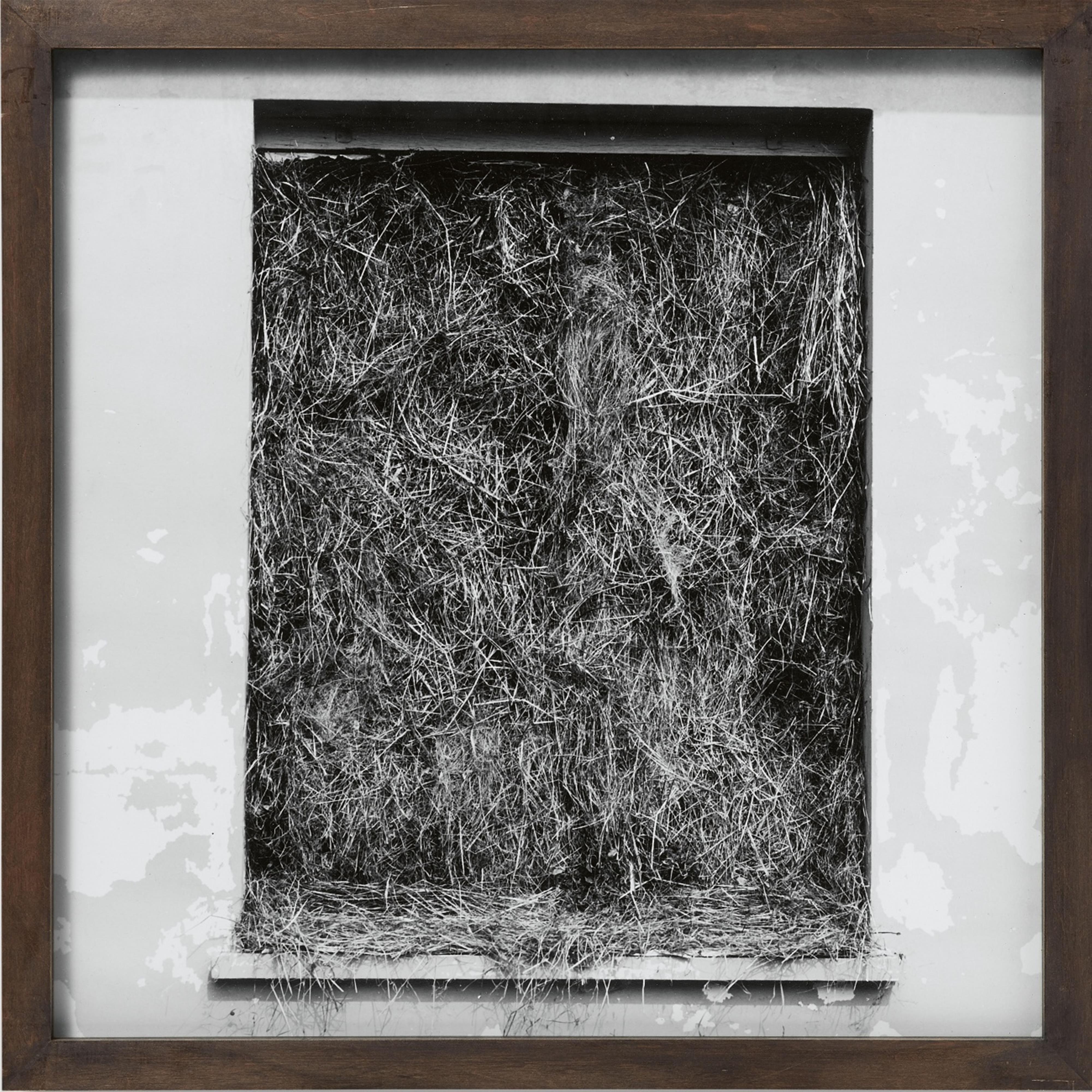 Dieter Appelt - Vergrasung (aus der Serie: Erinnerungsspur)