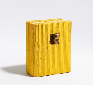 Dieter Roth - Daily mirror.