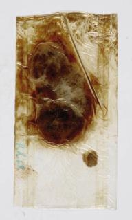 Dieter Roth - Doppel nummer der HALBJAHRESSCHRIFT für POESIE und POETRIE