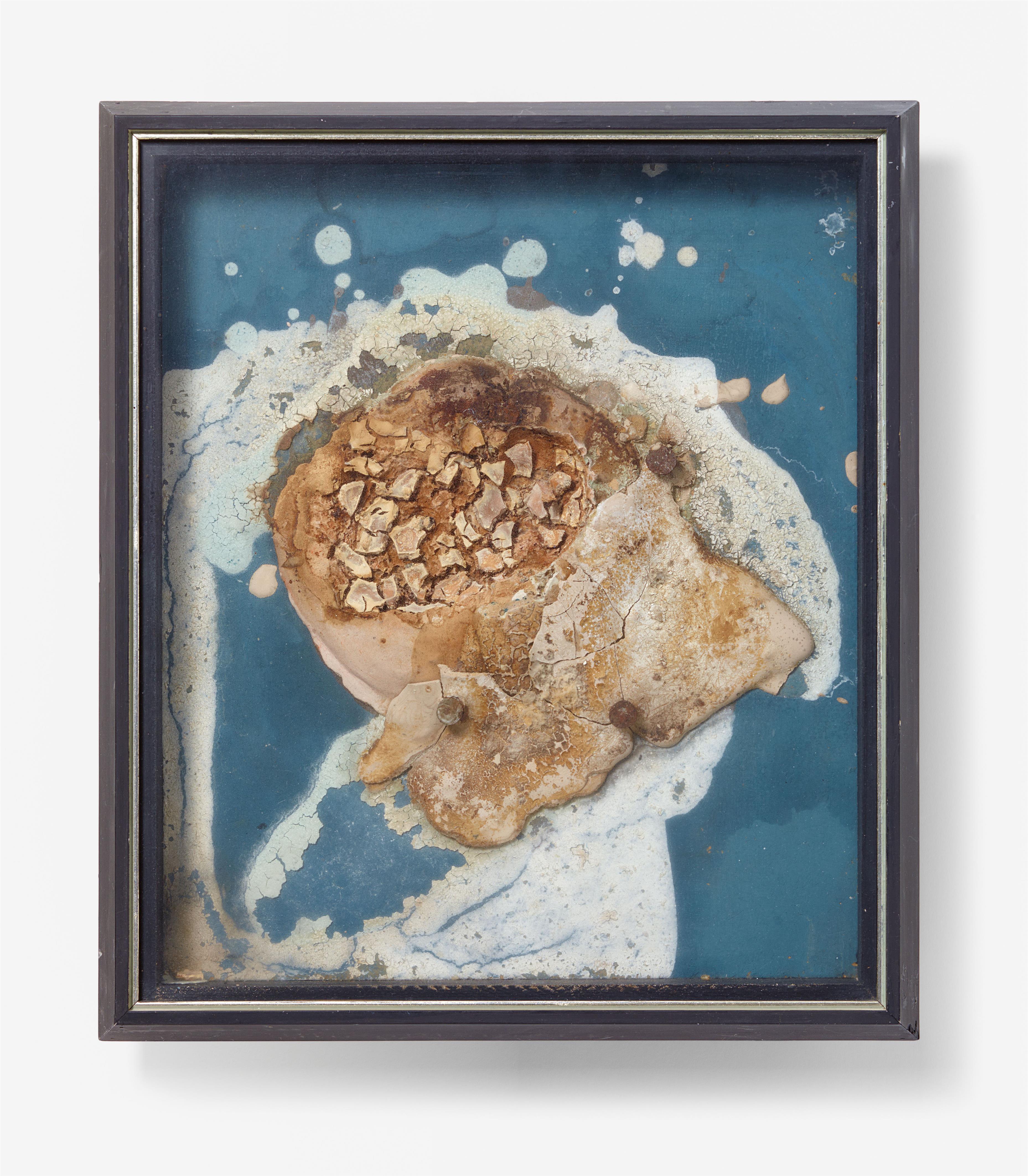 Dieter Roth - Inselbild