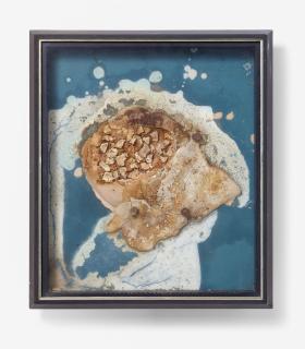 Dieter Roth - Inselbild