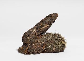 Dieter Roth - Kanickelköttelkarnickel