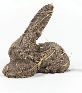 Dieter Roth - Karnickelköttelkarnickel (Scheisshase)