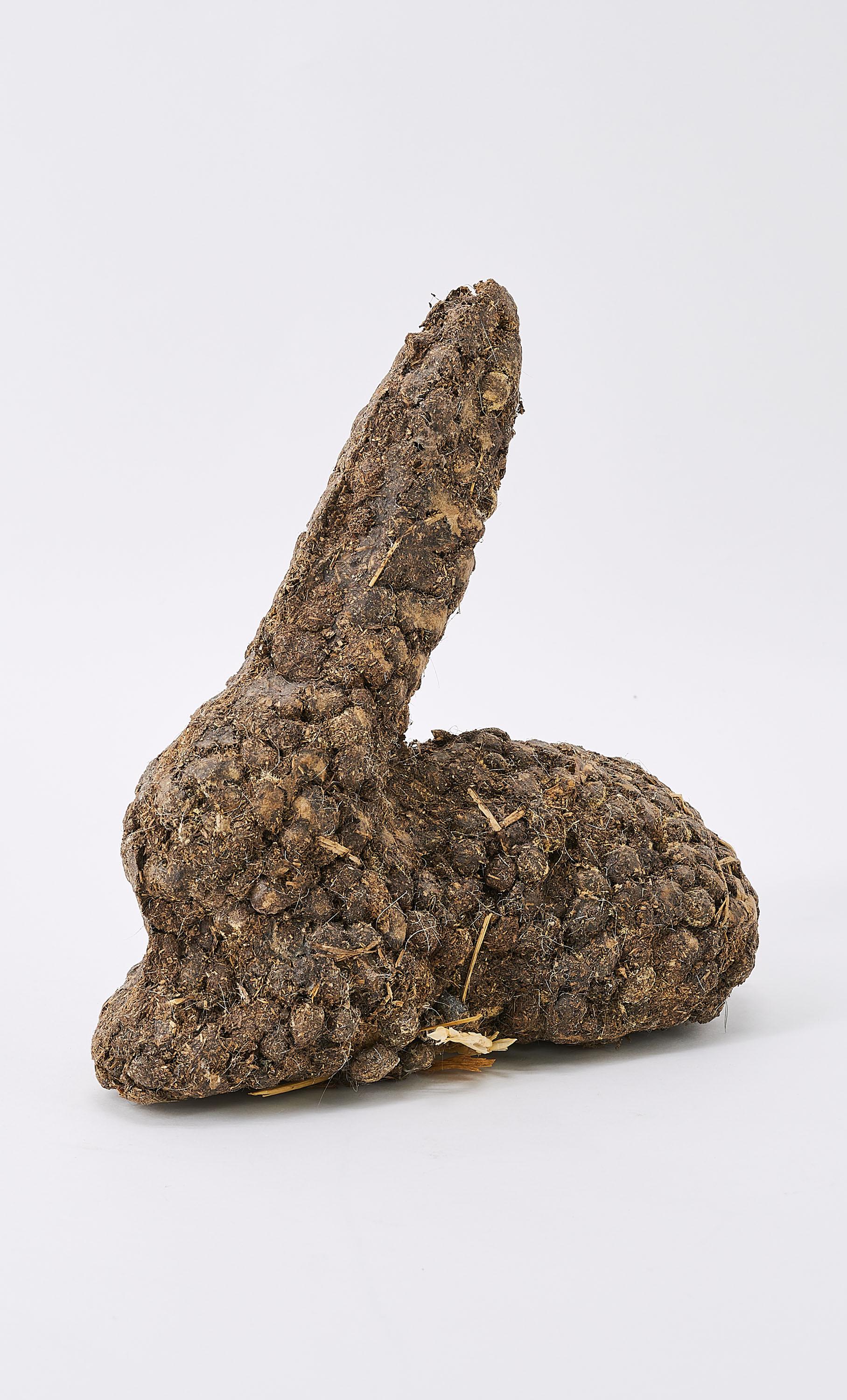 Dieter Roth - Karnickelköttelkarnickel.