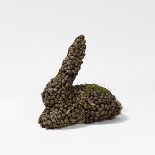 Dieter Roth - Karnickelköttelkarnickel