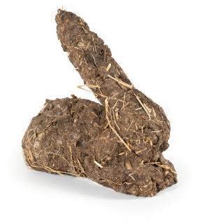 Dieter Roth - Karnickelköttelkarnickel