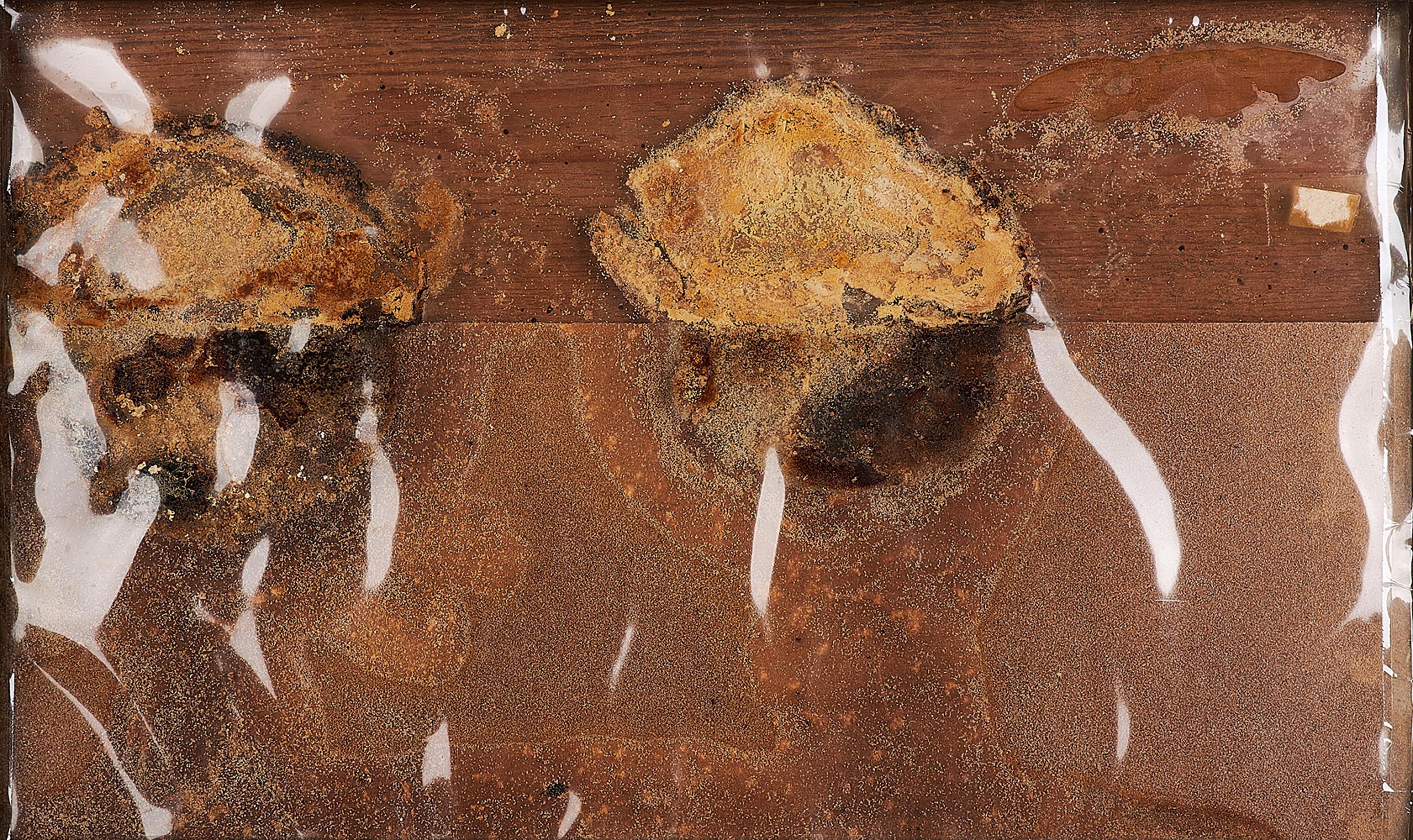 Dieter Roth - Kleine Landschaft.