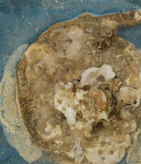 Dieter Roth - Ohne Titel (Kleine Insel)