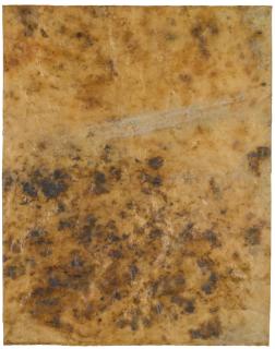 Dieter Roth - Schimmelbild (Mould Picture)