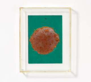 Dieter Roth - Selbstportrait