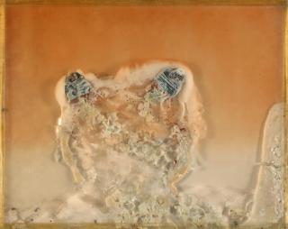 Dieter Roth - Zwei Birnen