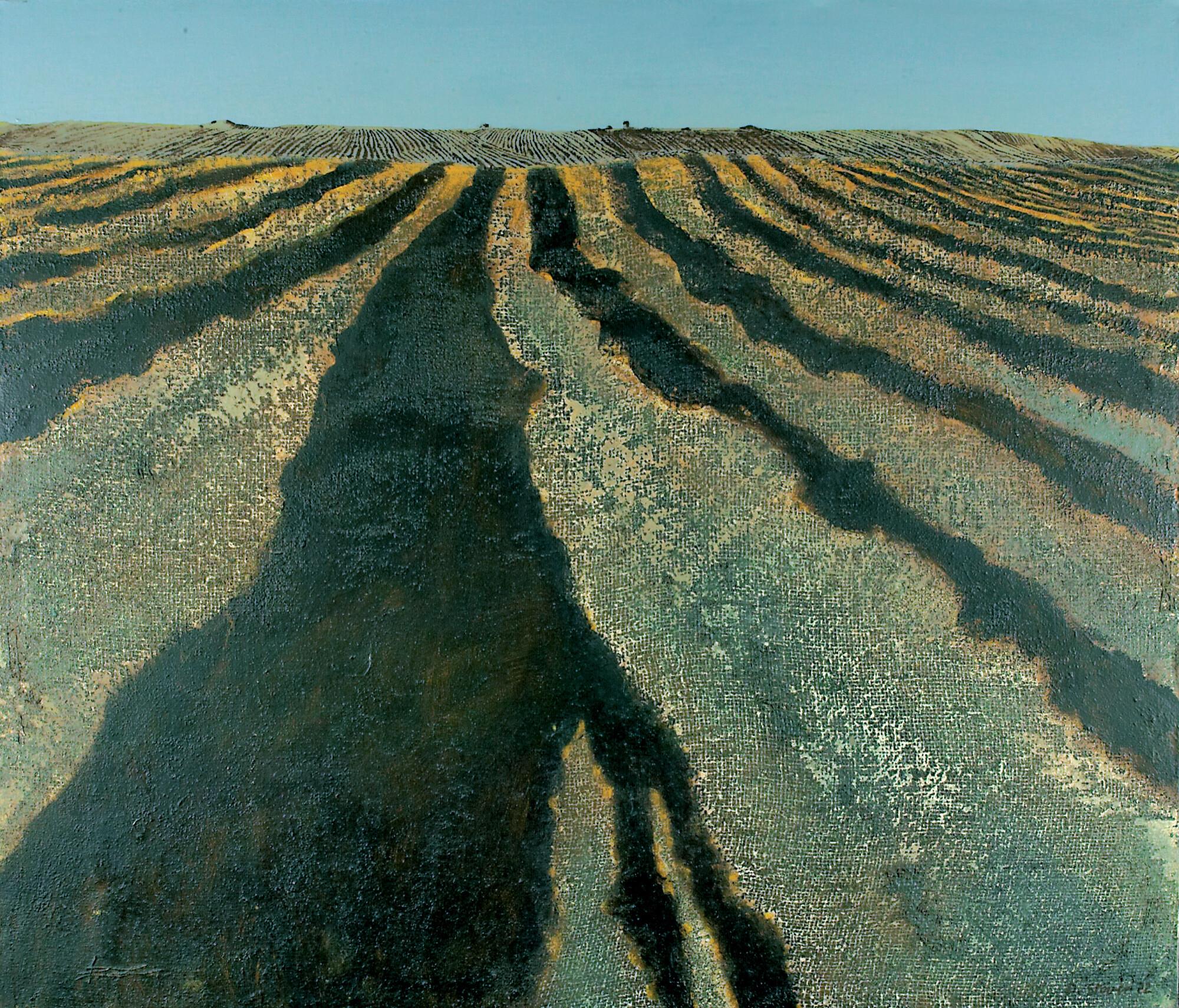 Dieter Stöver - „Brauner Acker“.