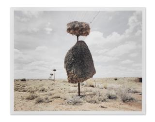 Dillon Marsh - Assimilation 7, 2010