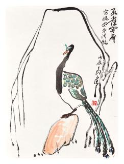Ding Yanyong - Peacock