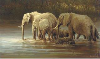 Dirck van Heerde - Elephant family