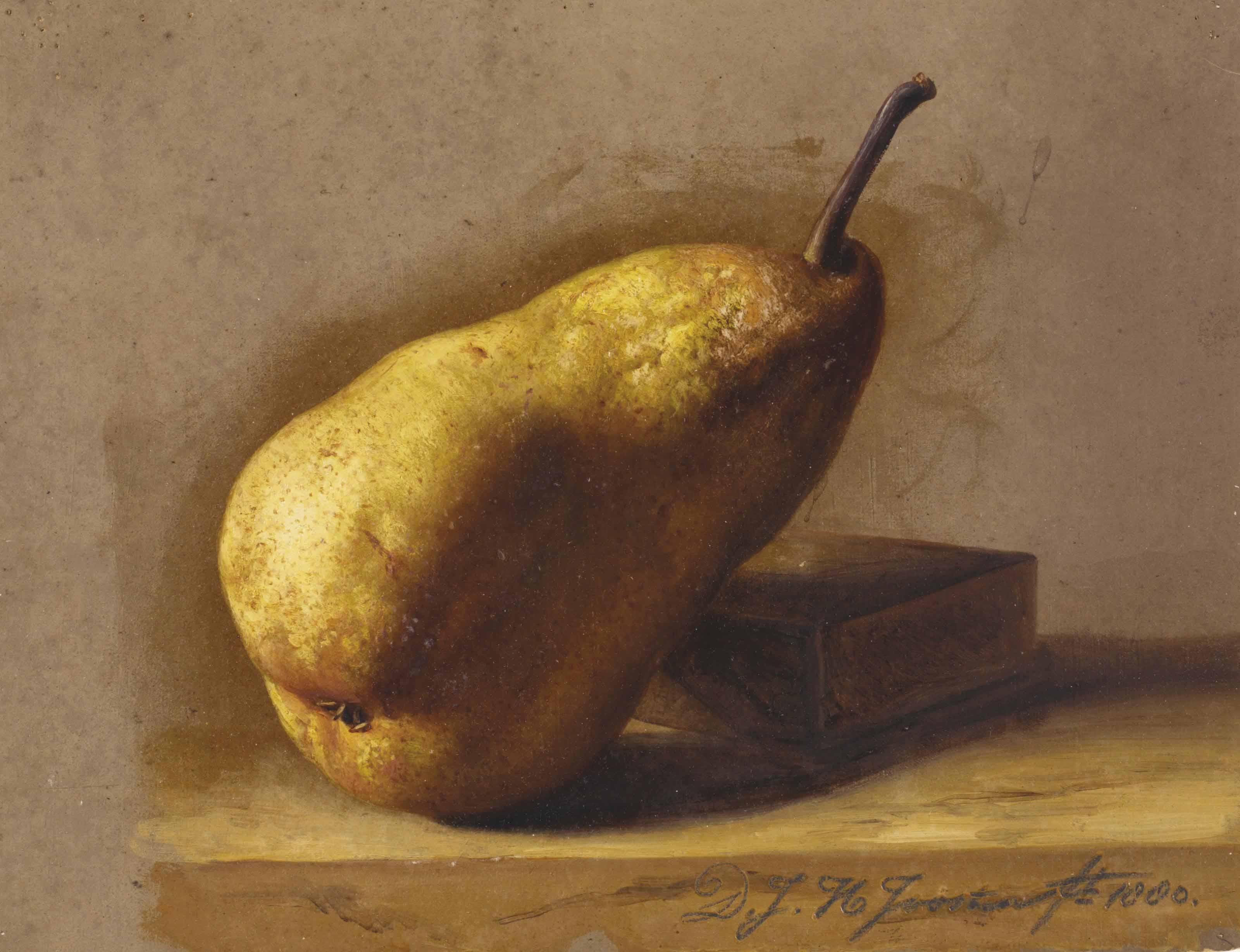 Dirk Jan Hendrik Joosten - Study Of A Pear