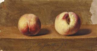 Dirk Jan Hendrik Joosten - Two Peaches On A Ledge