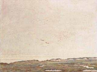 Dirk Nijland - A seascape with two seagulls