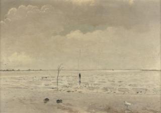 Dirk Nijland - Schorren