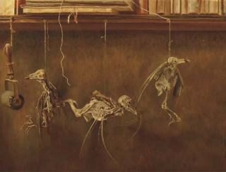 Dirk Nijland - Stilleven Met Vogelskeletjes - A Still Life With Bird\'S Skeletons