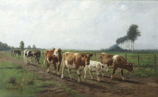 Dirk Peter Van Lokhorst - Homeward bound