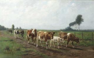 Dirk Peter Van Lokhorst - Homeward bound