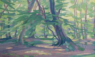 Dirk Smorenberg - A forest in spring