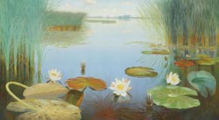 Dirk Smorenberg - Water lilies in the Loosdrechtse plassen