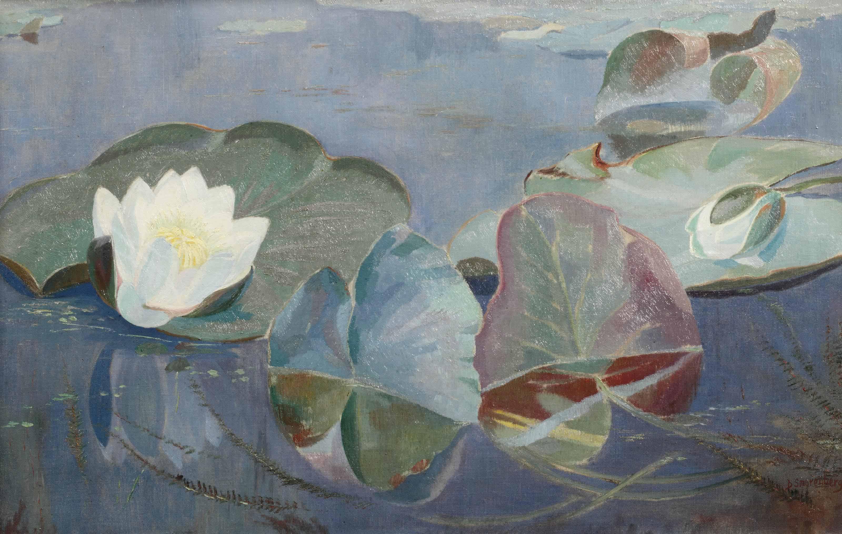Dirk Smorenberg - Water lilies