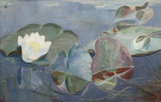 Dirk Smorenberg - Water lilies