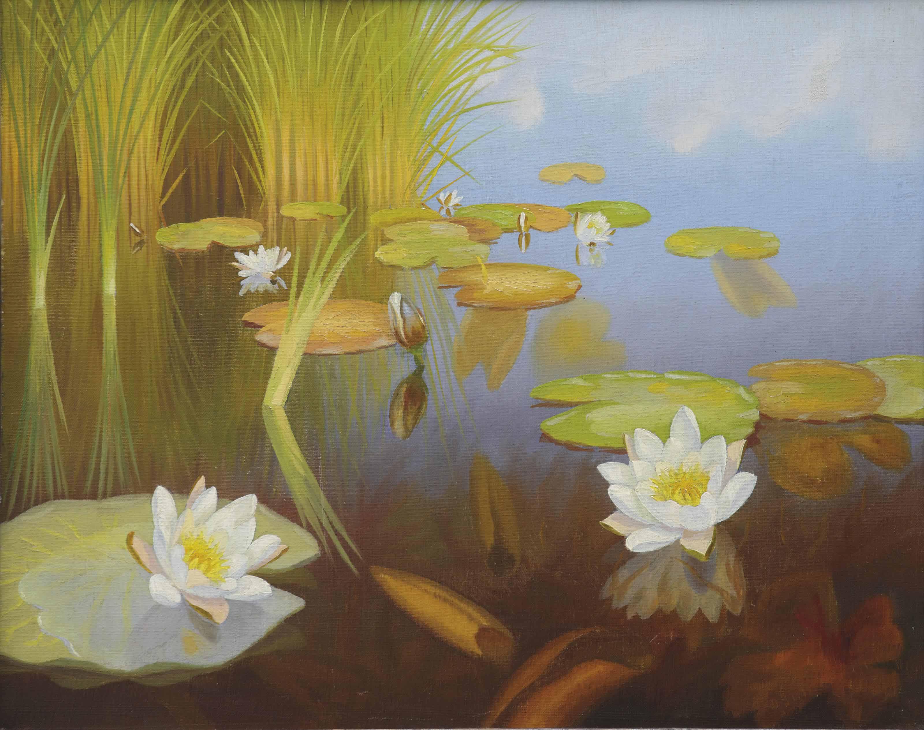 Dirk Smorenberg - Water Lilies