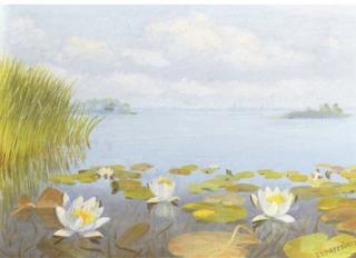 Dirk Smorenberg - Water lillies