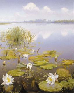 Dirk Smorenberg - Waterlillies in the Loosdrechtse plassen, Kortenhoef in the distance