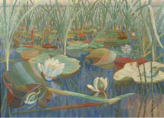 Dirk Smorenberg - Waterlillies