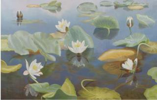 Dirk Smorenberg - Waterlillies